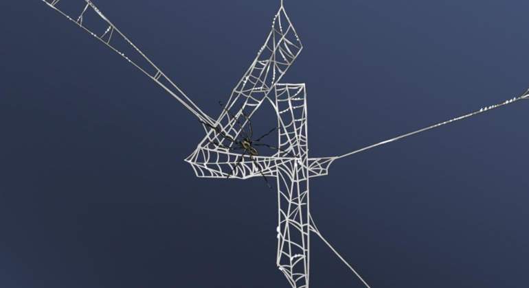 spiderman-4-770.jpg