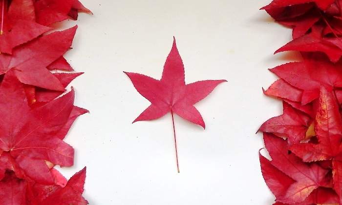canada-bandera-getty.jpg
