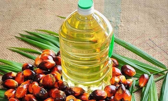aceite de palmajpg