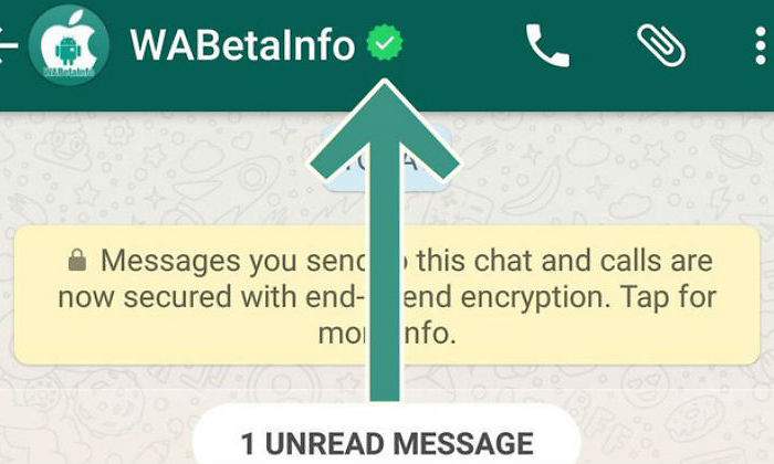 whatsapp-verificado.jpg