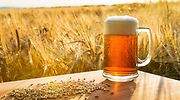 Cerveza-Cebada.jpg