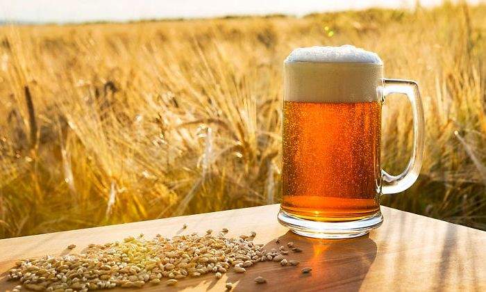 Cerveza-Cebada.jpg