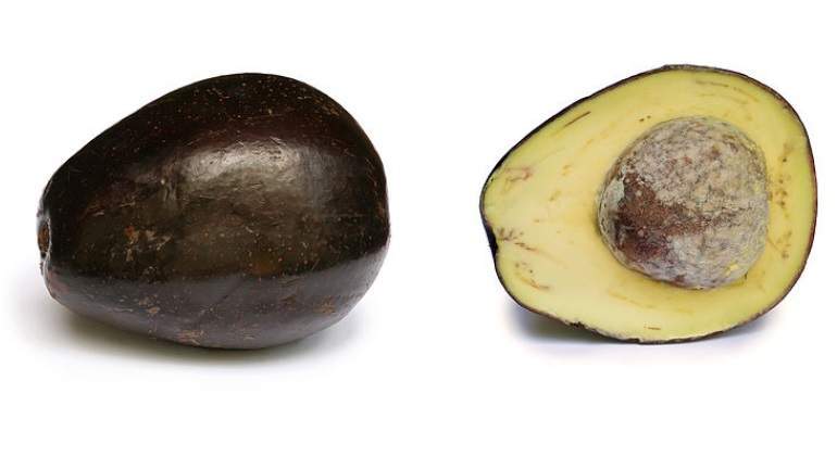aguacate-hueso-wikipedia.jpg