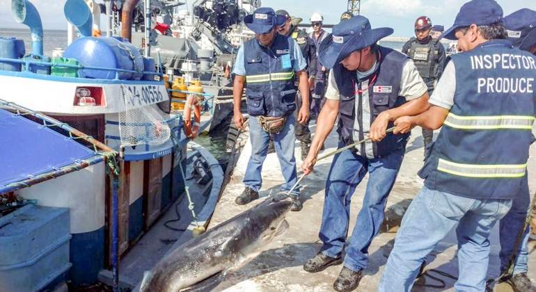 pescaecuador770.jpg
