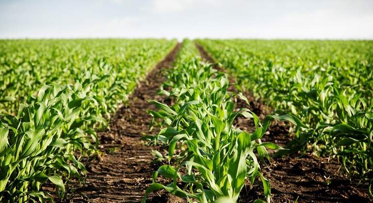 agropecuario