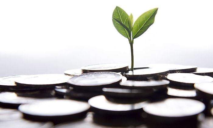 brote-inversión-770-istock.jpg