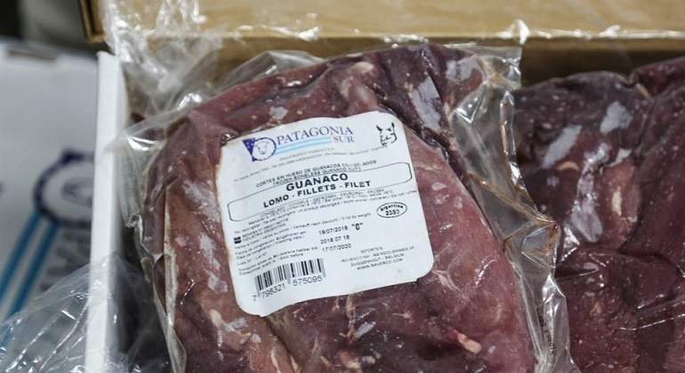 GuanacoExportacion770.jpg