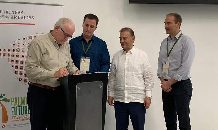 firma palma