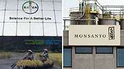 bayer monsanto