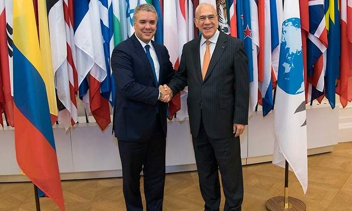 duque ocde