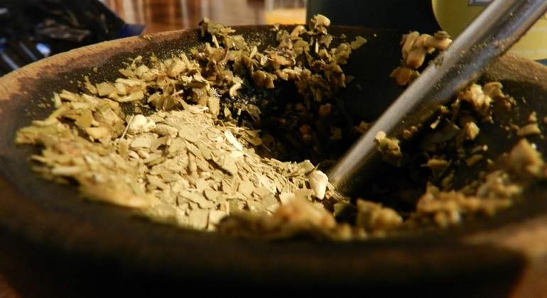 MateYerba770.jpg