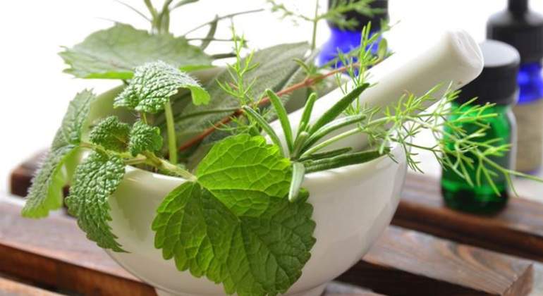 Why to bet on the natural cosmetic of luxury - economiahoy.mx - Economíahoy.mx 1 cosmetica-natural.jpg