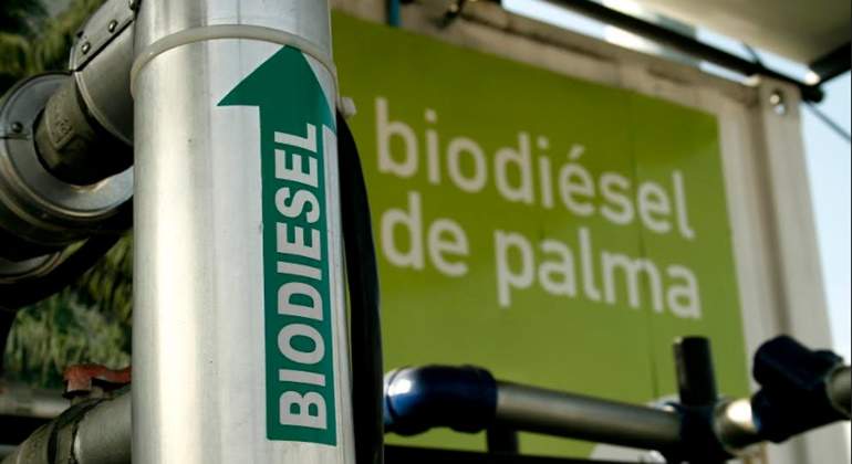 foto-fede-biocombustibles