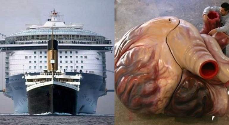 ¿Cómo de grande era el Titanic? ¿Y el corazón de una ballena azul?