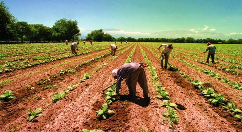 Campo-mexicano-especial.jpg