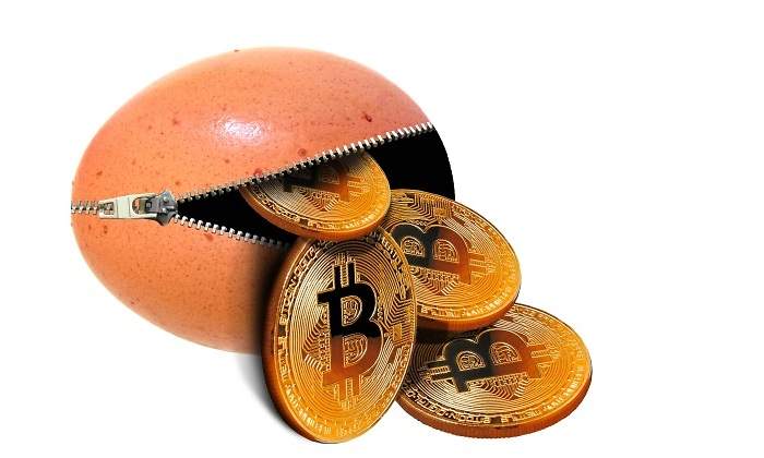 bitcoin-monedero-cremallera.jpg