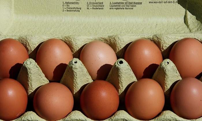 Huevos-reuters.jpg