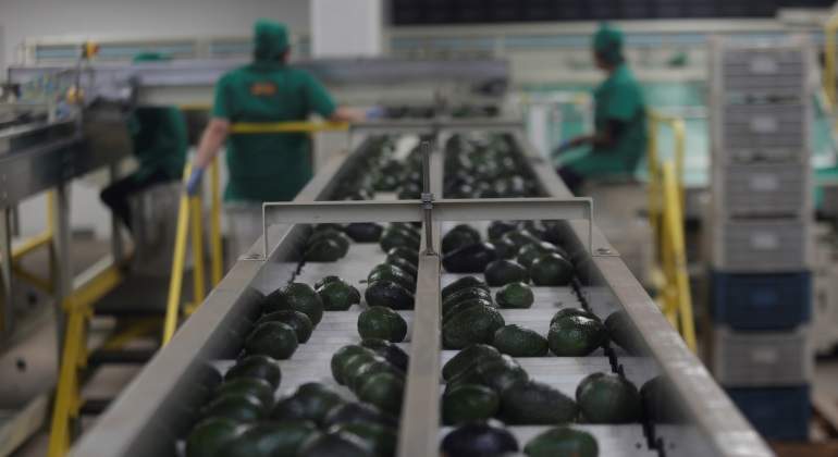 Aguacates-reuters-770.jpg