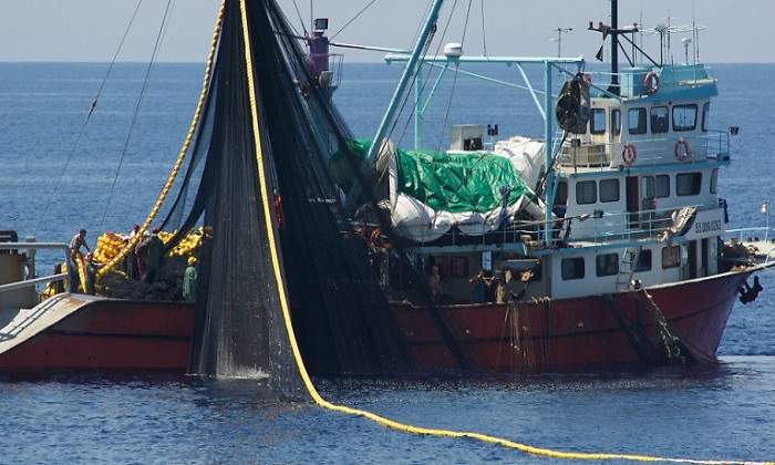 barcos-pesqueros770.jpg