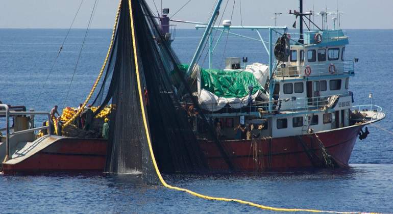 barcos-pesqueros770.jpg