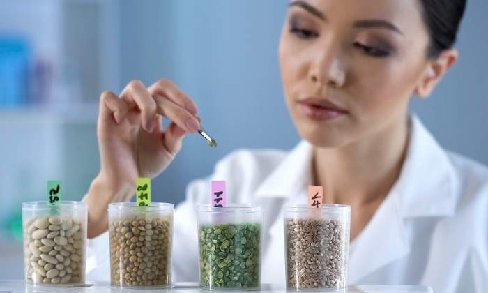 nutricion-bioquimica-dreamstime.jpg