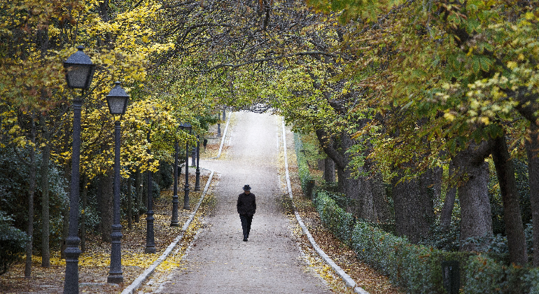 Encontraron dos cadáveres en los estanques — Central Park