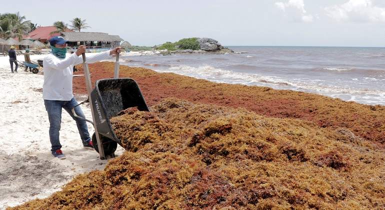 Sargazo-afecta-sector-pesquero-en-Mexico-Foto-Reuters.jpg