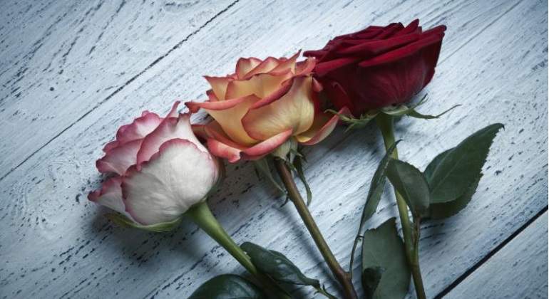 rosas-770-istock.jpg