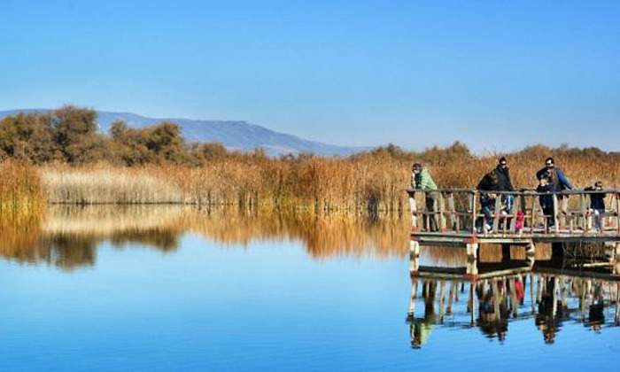 tablas-daimiel