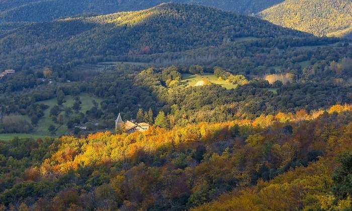 bosques-espana-montseny.jpg