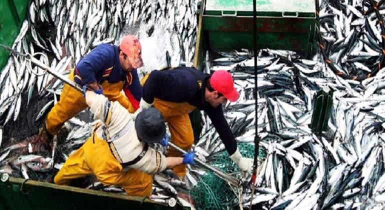pesca770.jpg
