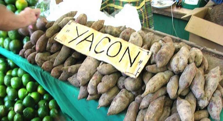 yacon770.jpg