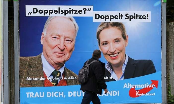 afd-cartel-reuters.jpg