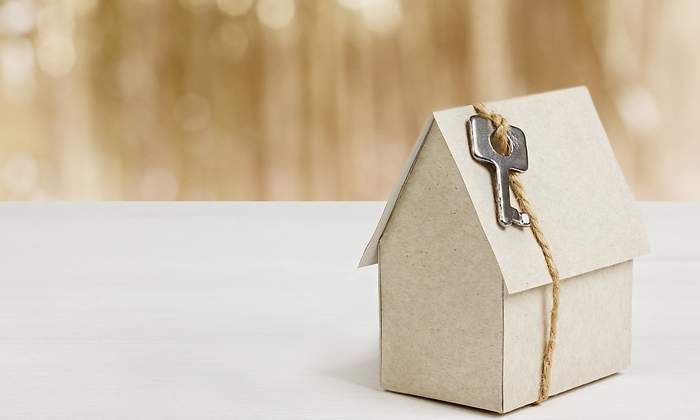 Casa-carton.jpg