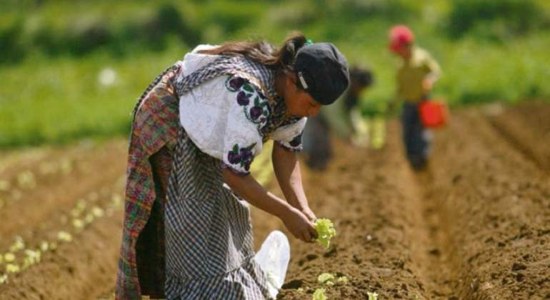 agricultores-guatemala.jpg