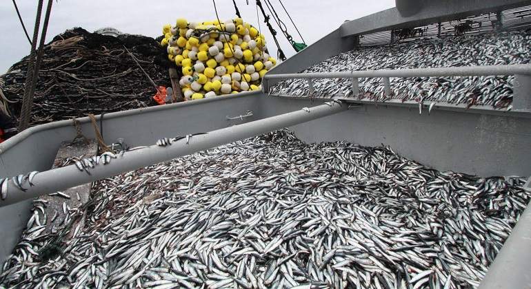 pesca770x420.jpg