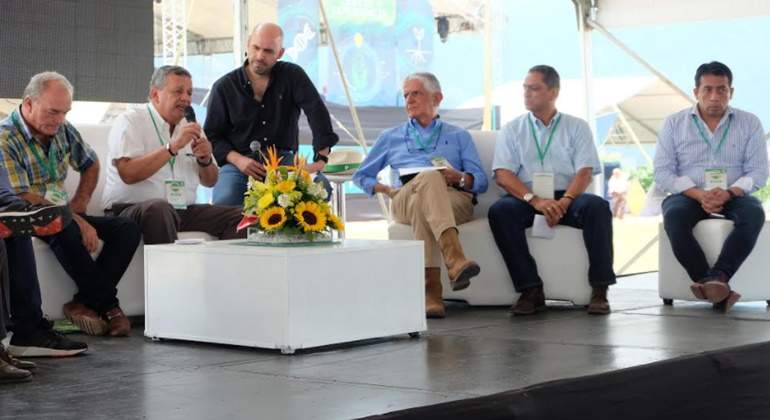 foro-arroz