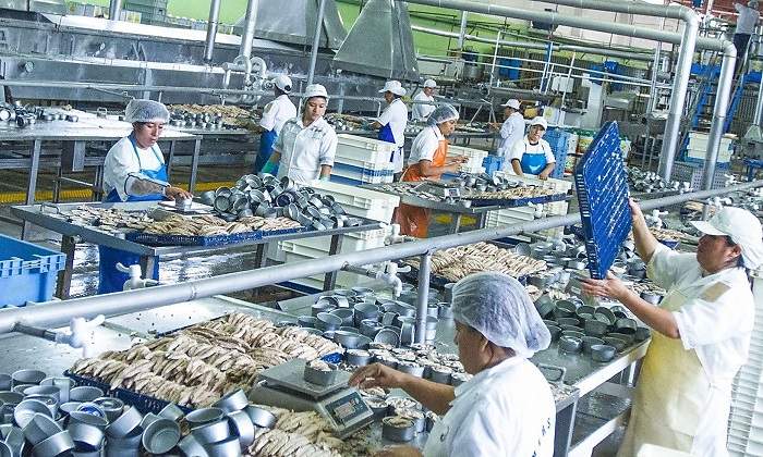Industria primaria