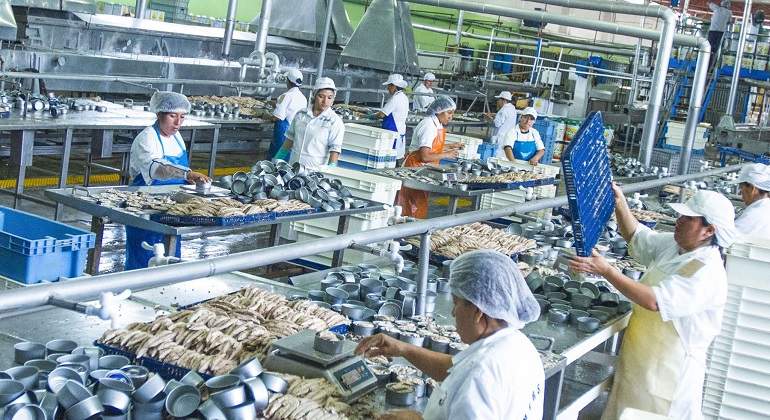 Industria primaria