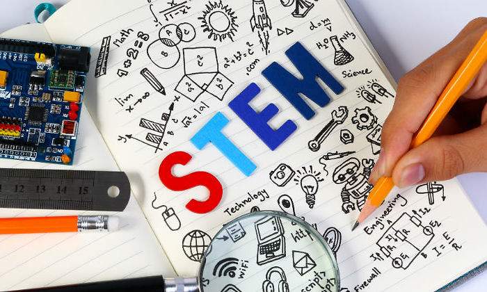 STEM1111111111.jpg