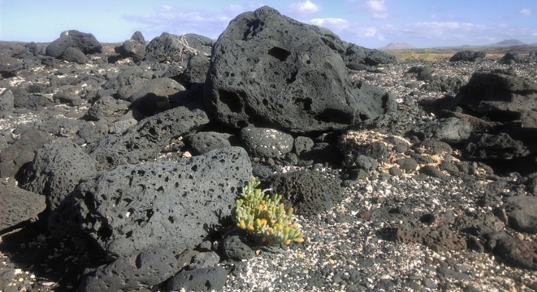 transformar el co2 en rocas la curiosa forma de acabar con la