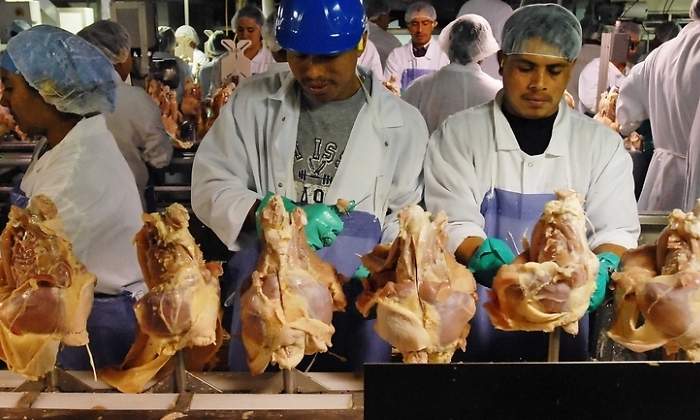 trabajadores-tyson