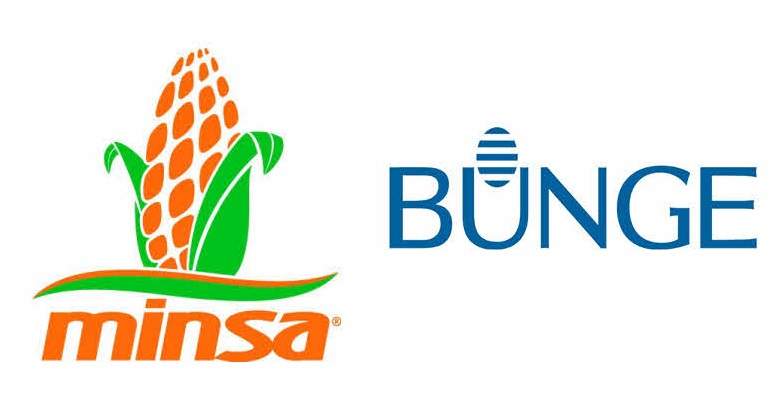 Minsa-bunge-770.jpg