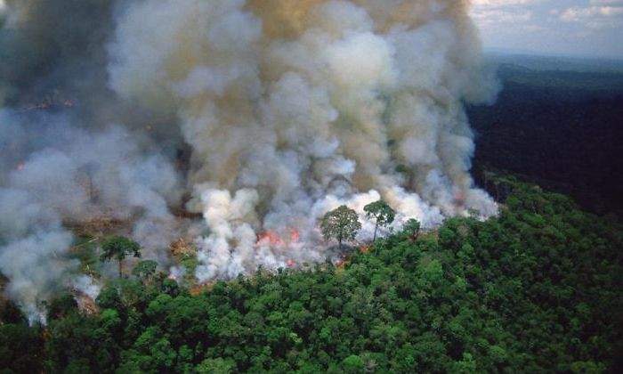Amazonas-incendio-fuego.jpg