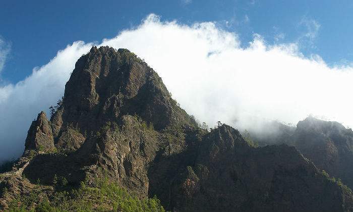 canarias111.jpg