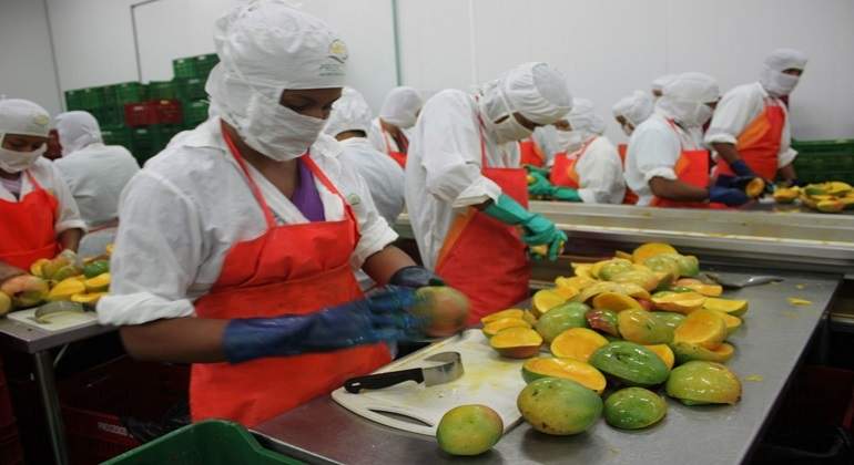 exporfrutas770x420.jpg