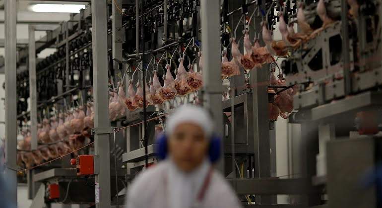 EEUU suspende importaciones de carne vacuna de Brasil