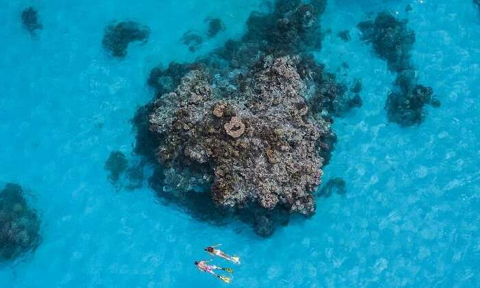 770x420-laguna-islas-cook-banistas-snoorkel.jpg