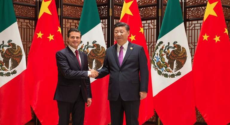 china-mexico-totoaba-770-420-Notimex.jpg