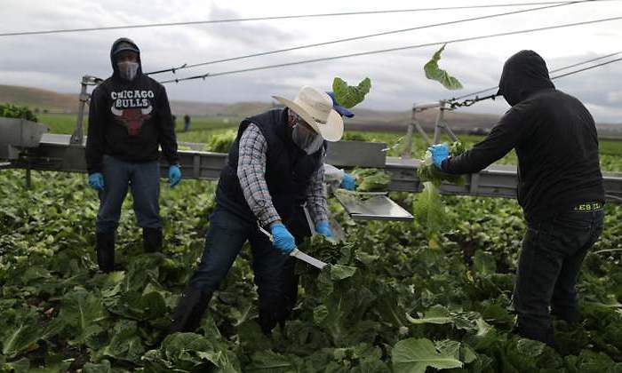 cosecha-agricultura-reuters-770.jpg